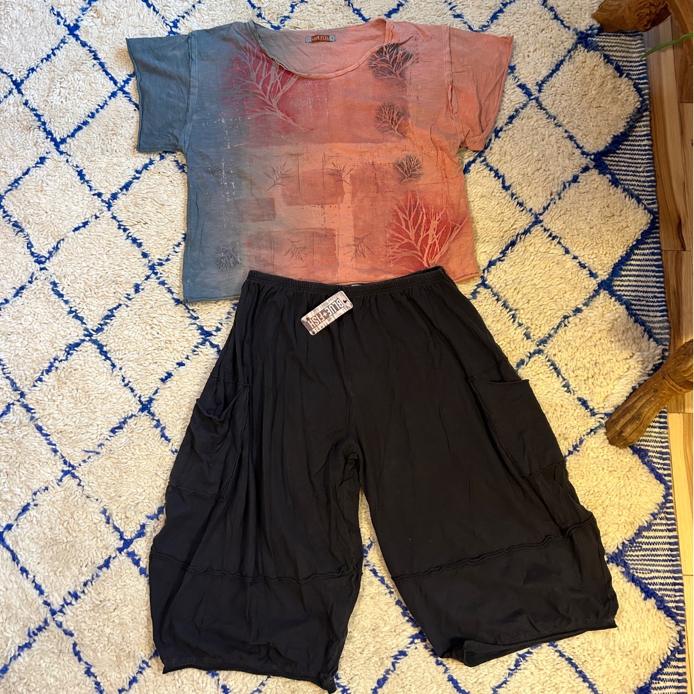 Bluefish handmade in the USA NWT Travelers pants and EUC hand printed top 2x